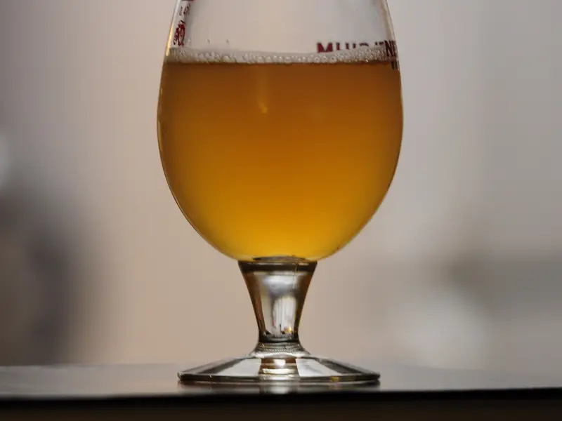 Cerveza artesanal